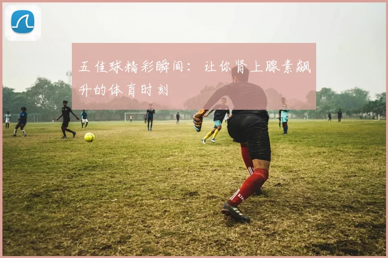 五佳球精彩瞬间：让你肾上腺素飙升的体育时刻