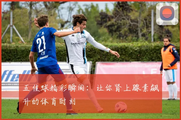 五佳球精彩瞬间：让你肾上腺素飙升的体育时刻